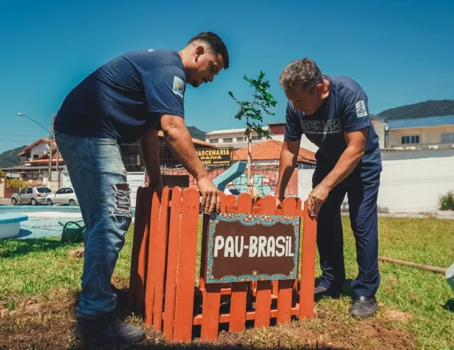 Prefeitura conclui etapa inicial só programa de Arborização Urbana, com 1000 árvores plantadas em 2025