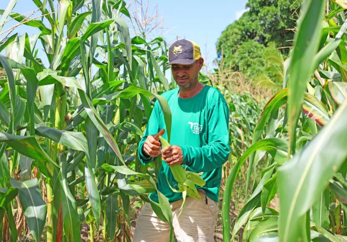 Programa ‘Eu Posso Semear’ fortalece agricultura familiar e sustentabilidade em João Pessoa
