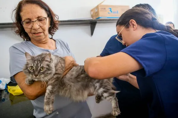 Zoonoses imunizou mais de 100 mil animais contra a raiva em 2025