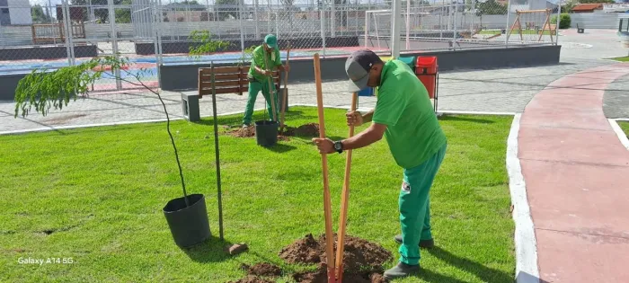Semam fortalece a produção de mudas nativas da Mata Atlântica no Viveiro Municipal