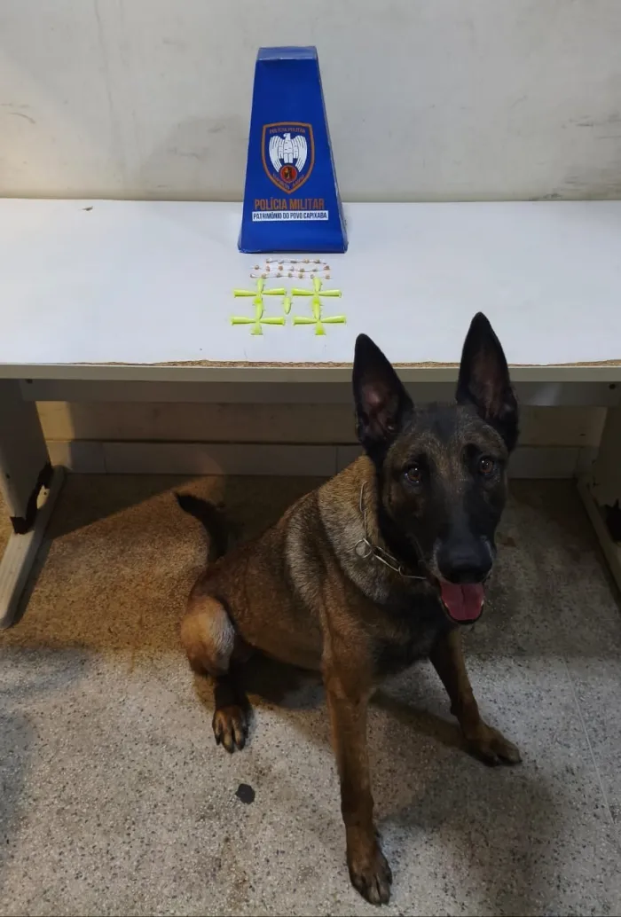 Polícia Militar realiza apreensões e prisão durante o último final de semana em Guarapari