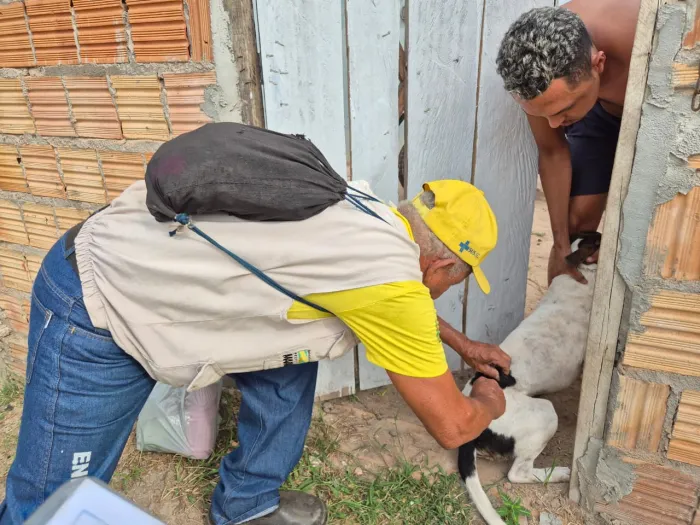 Saúde: Campanha Antirrábica finaliza com mais de 30 mil animais vacinados