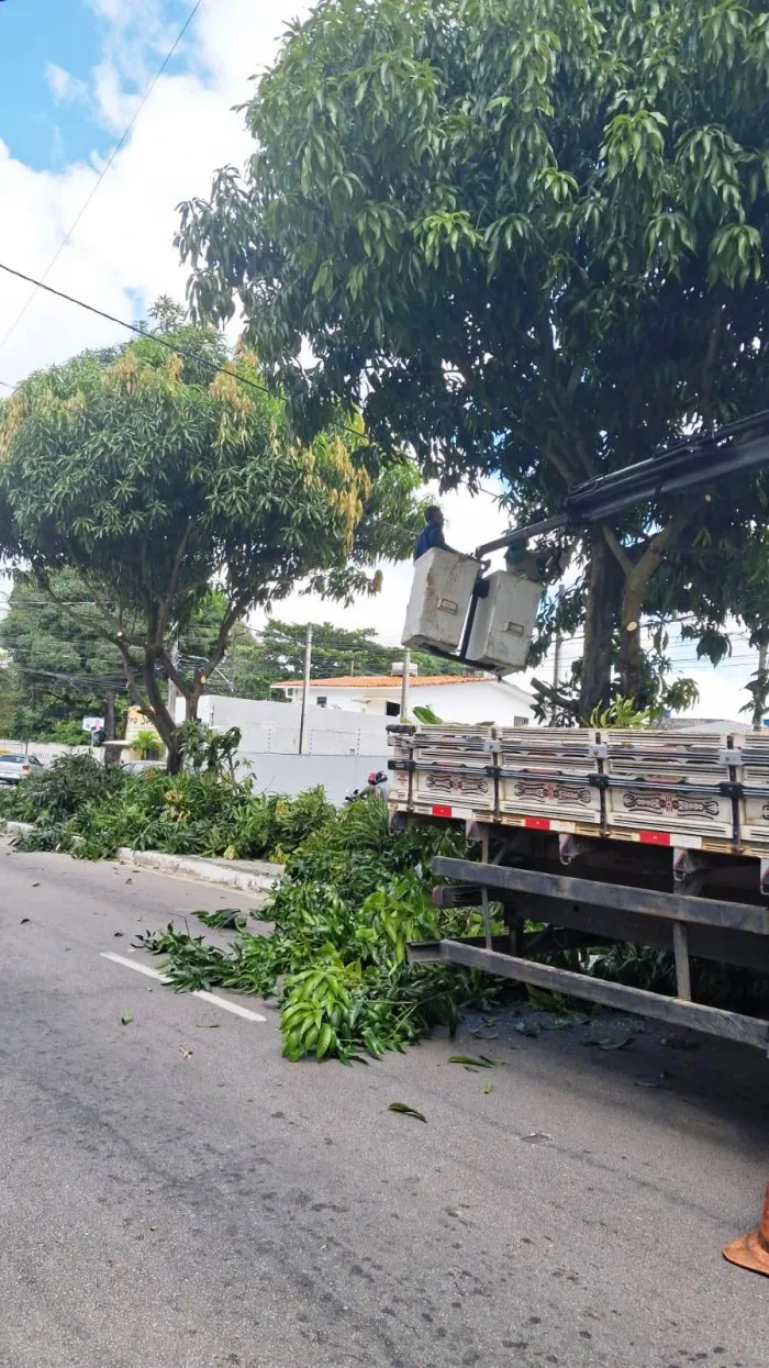 Foto: Reprodução/Prefeitura de João Pessoa - PB