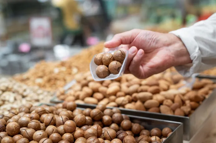 Macadâmia capixaba: a produção da noz cresce e conquista o mercado internacional