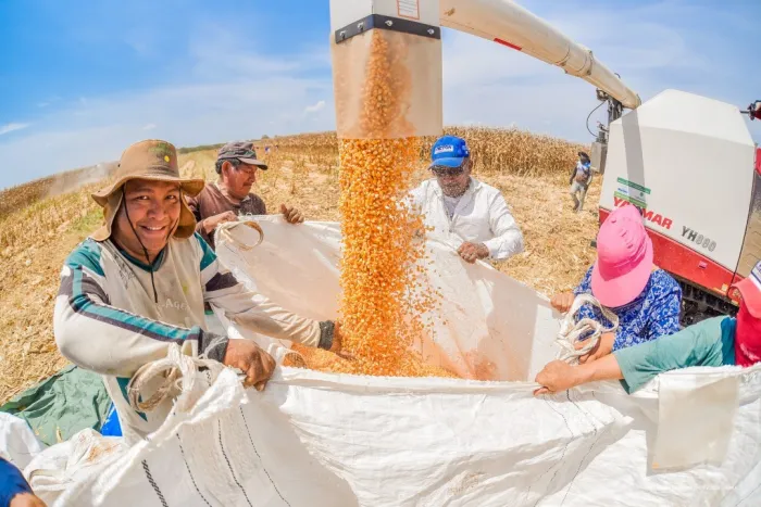 Boa Vista fortalece a agricultura familiar com investimentos e ações estratégicas no campo