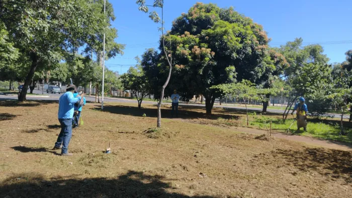 Equipes atuam em bairros e avenidas de todas as regiões nesta sexta
