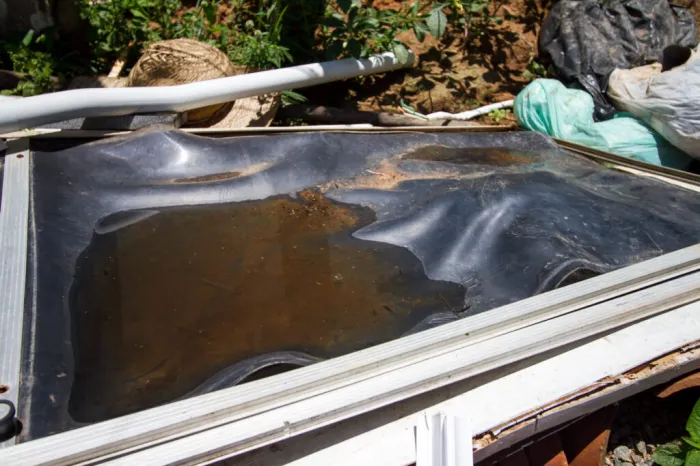 SES-PE alerta: O verão é a época certa do ano para agir contra o mosquito da dengue