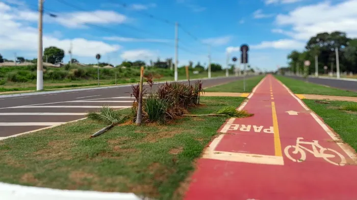 Secretaria de Meio Ambiente de Araçatuba vai replantar 22 árvores após ato de vandalismo em novo residencial