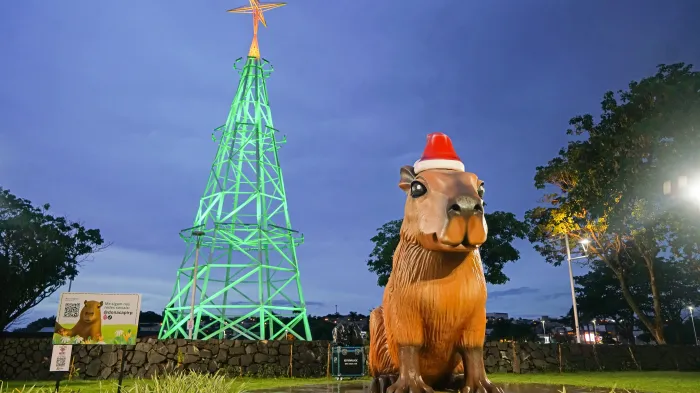 Depois de 60 mil visitas, Dona Capi 'tira férias'
