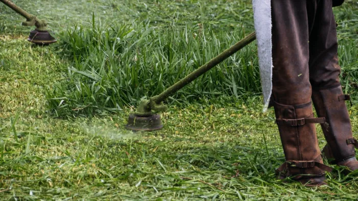 Mutirão da Limpeza atende 20 unidades educacionais