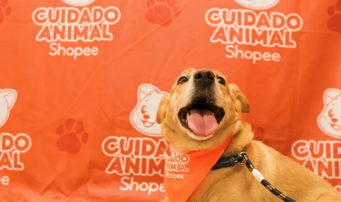 Divulgação: Shopee