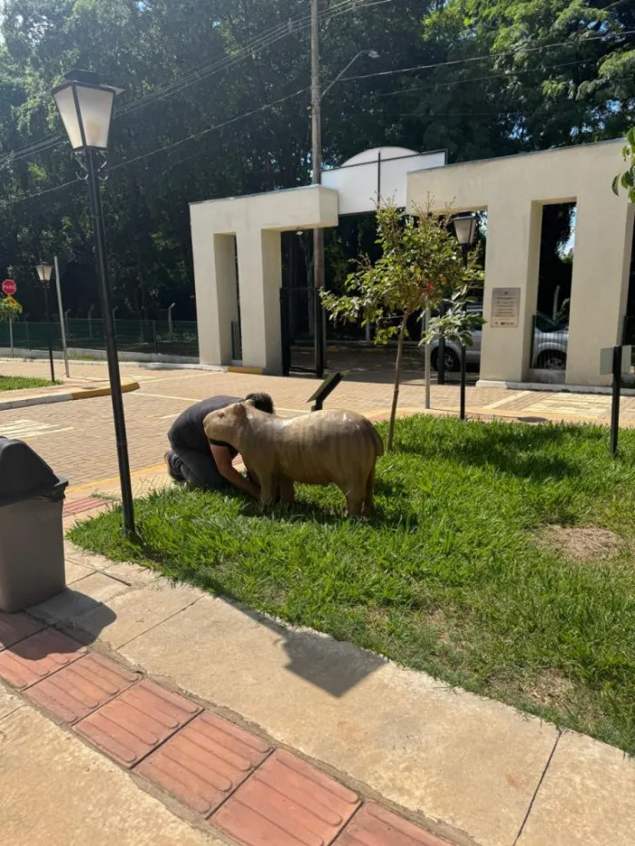 Prefeitura de Araçatuba vai restaurar esculturas de animais da Cidade da Criança