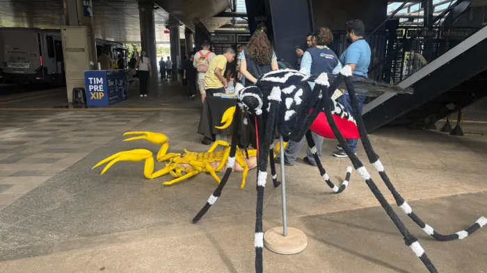 Prefeitura reforça ações educativas no combate a dengue e escorpiões