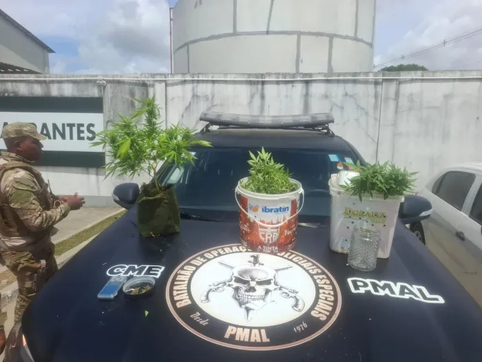 Polícia Militar apreende 5kg de drogas e descobre plantação de maconha em Maceió