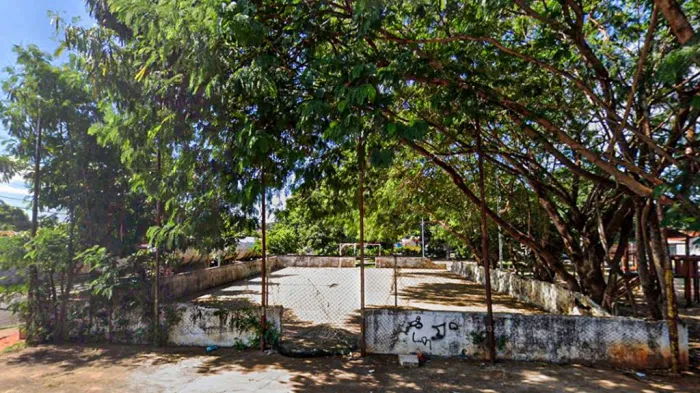 Árvore será retirada em revitalização de praça no Claudionor Cinti; outras cinco serão plantadas como compensação