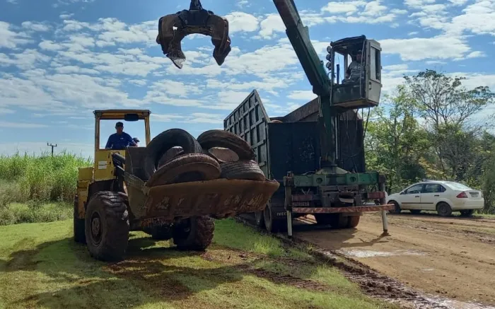 Dengue SC: Campanha de recolhimento de pneus fortalece combate ao Aedes aegypti no Estado