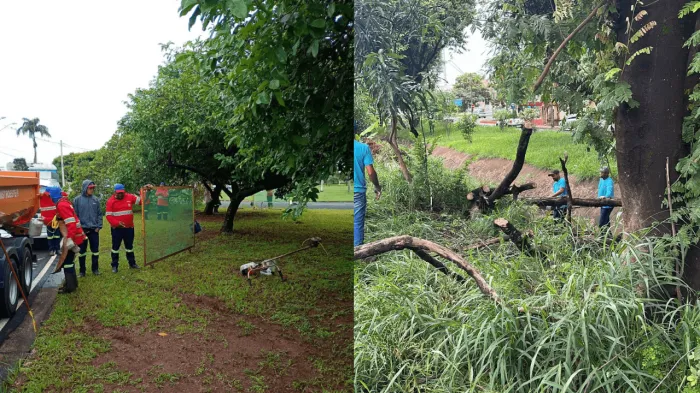 Frentes de trabalho realizam roçada, poda e recolhimento de resíduos
