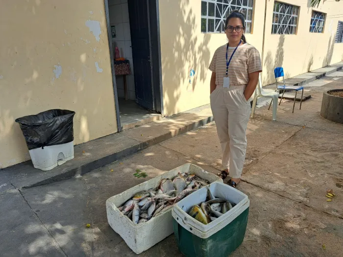Piracema: Semma e GMM apreendem 188 quilos de pescado ilegal