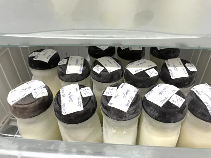 Biama em Petrolina está com estoque baixo de leite humano e precisa de doadoras