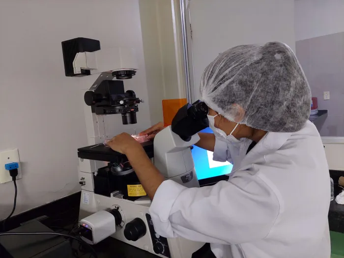 Foto: Reprodução/Secom Ceará