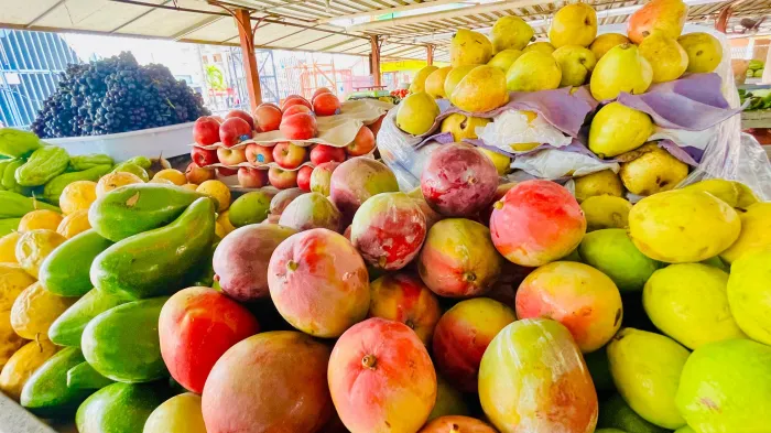 Alimentação saudável no Carnaval ajuda a prevenir problemas de saúde, alerta nutricionista do Hospital Ib Gatto Falcão