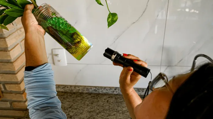 Mutirão dos agentes estará em cinco áreas da cidade neste sábado, 7/2