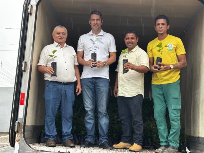 Semarh amplia reflorestamento no Piauí e entrega 26 mil mudas em nova etapa do programa Proverde