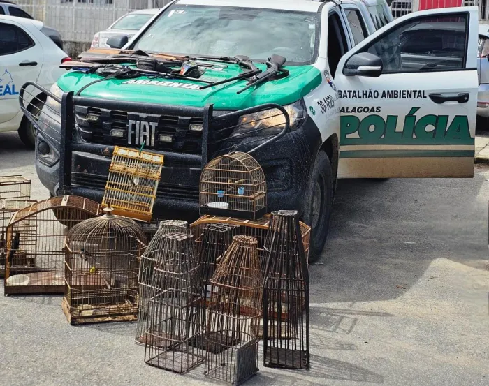 Polícia Militar apreende sete armas, armadilhas e aves silvestres em Matriz do Camaragibe