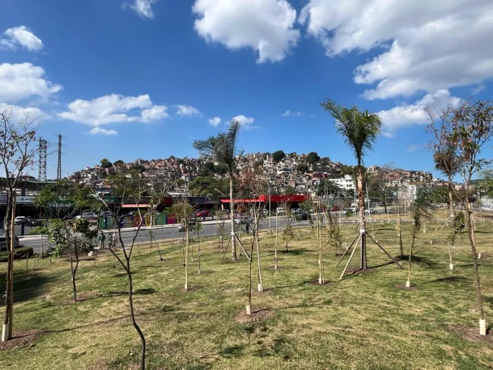 Novo espaço verde na Avenida São Francisco Xavier - Foto: Divulgação/SMAC