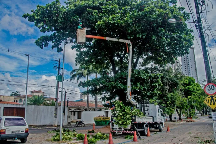 Prefeitura realiza podas de árvores nos bairros Engenho Velho e Manaíra nesta quinta-feira