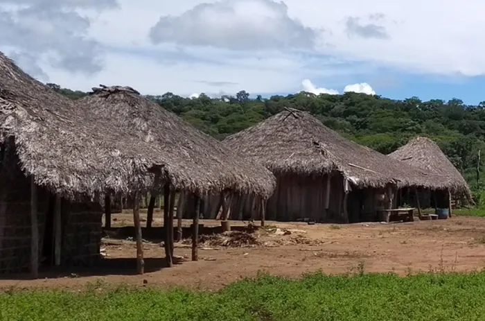 Programa pretende levar tecnologia e conectividade a áreas remotas e de difícil acesso, como aldeias e quilombos - Foto: Fernando Damasco/IBGE
