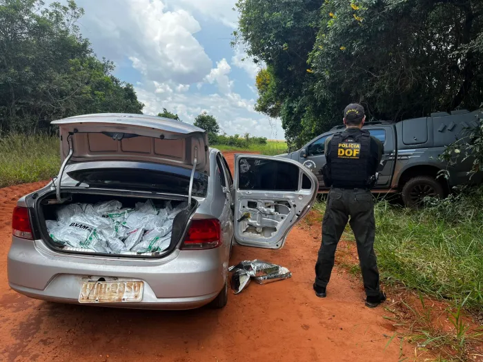 DOF apreende 700 quilos de agrotóxicos paraguaios que seguiam para Sidrolândia