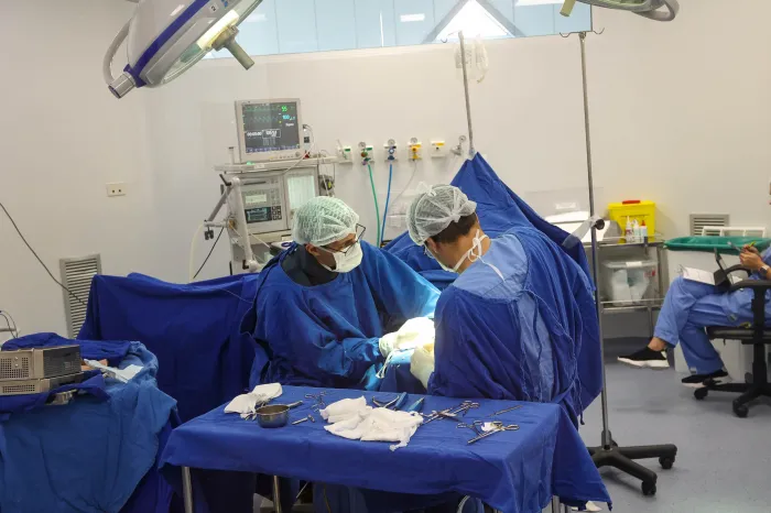 Foto: Gilson Abreu/Arquivo AEN