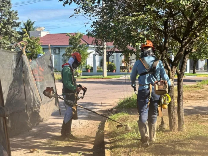 Avenida Sibipirunas / crédito: Adriana Reis