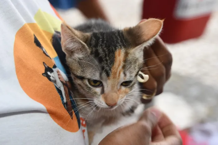 Foto: Reprodução/Prefeitura de Alagoinhas - BA