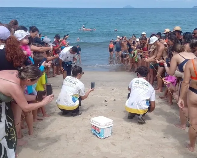 Foto: Reprodução/Prefeitura de São Sebastião - SP