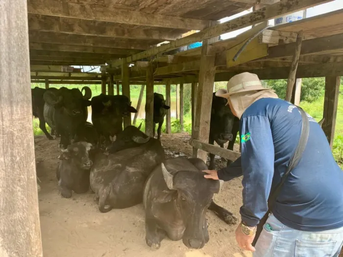 Foto: Reprodução/Agência Amazonas