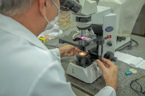 Foto: Reprodução/Prefeitura de Porto Velho - RO