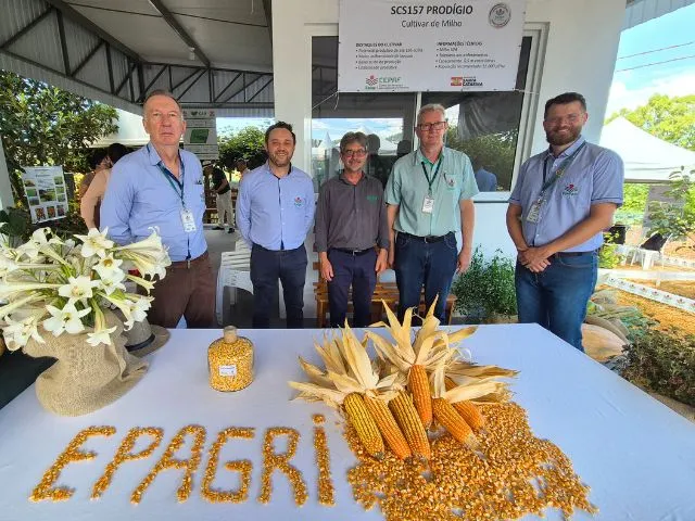 Foto: Reprodução/Secom SC