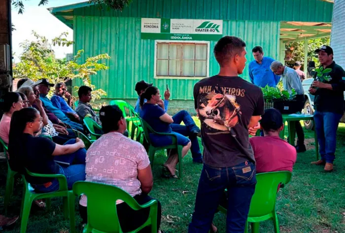 Expansão da área plantada de café é fortalecida pelo governo de RO com entrega de 115 mil mudas aos produtores do estado