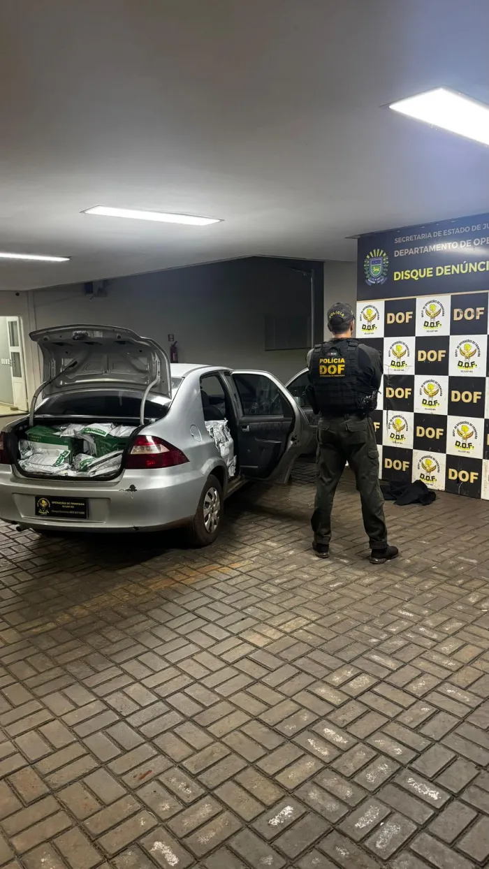 DOF apreende carga de agrotóxicos contrabandeados em Maracaju