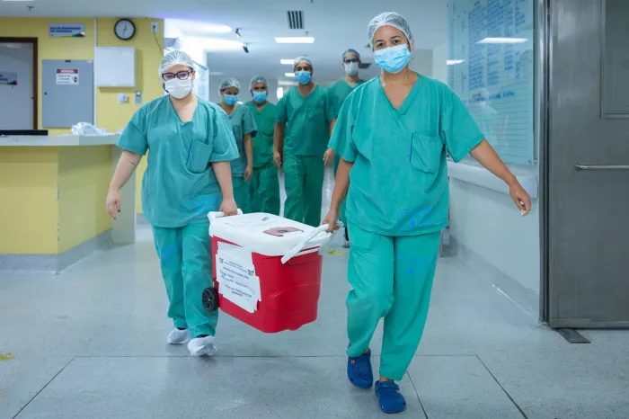 Maranhão realiza primeiro transplante hepático intervivos entre adultos do Nordeste