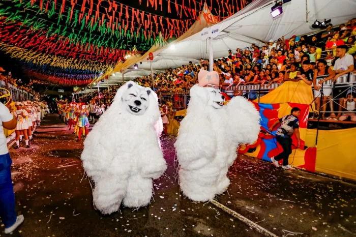 Desfile das Ala Ursas leva alegria e irreverência ao Carnaval Tradição 2026 neste sábado e domingo 