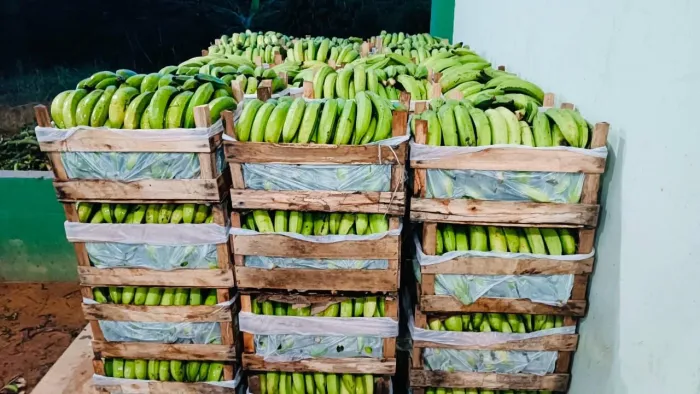 Foto: Reprodução/Secom Acre