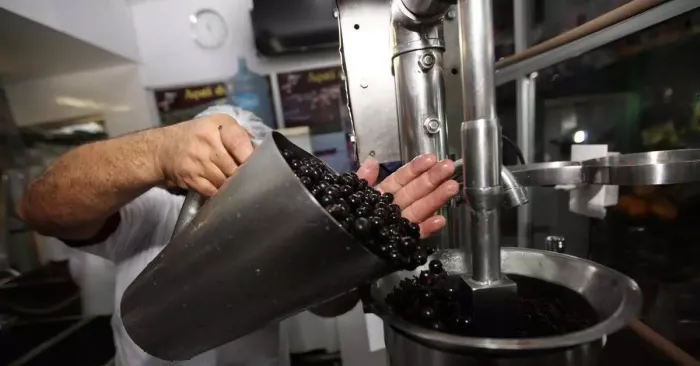 Foto: Reprodução/Agência Belém