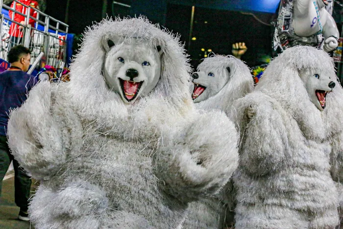 Desfile das Ala Ursas encanta público que prestigiou desfile do Carnaval Tradição