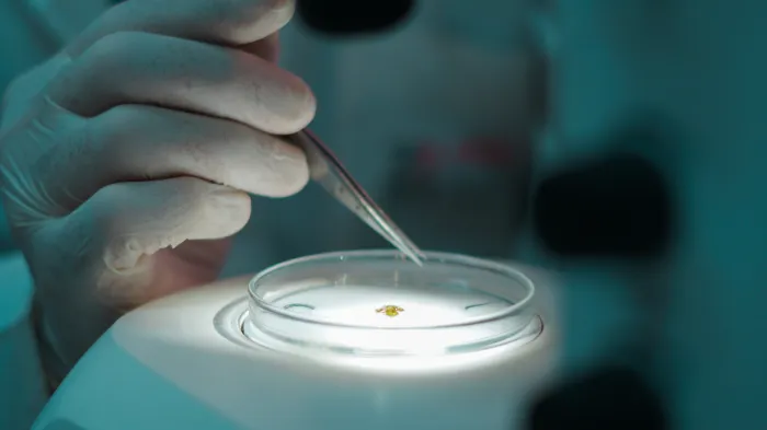 Fundação Ezequiel Dias coordena estudo para avançar no combate à febre maculosa brasileira