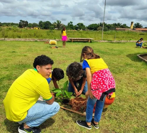 Foto: Reprodução/Prefeitura de Porto Velho - RO