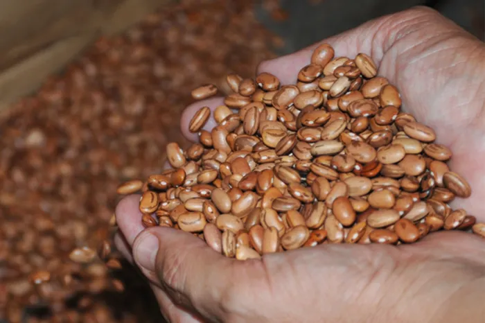 Foto: ACM e Jorge Magalhães