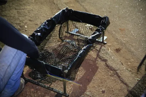 Instalação de ecobueiros chega a mais bairros e ruas de PVH